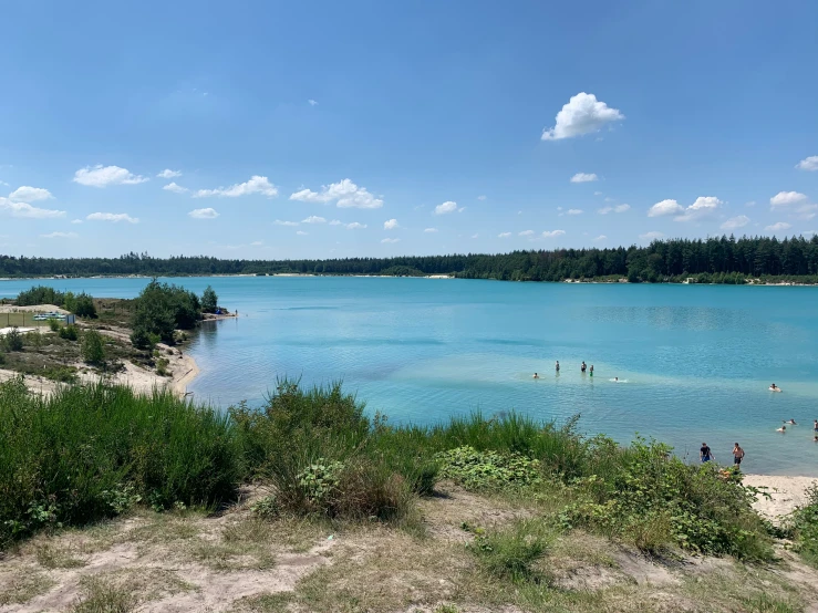 a lake filled with lots of water near trees