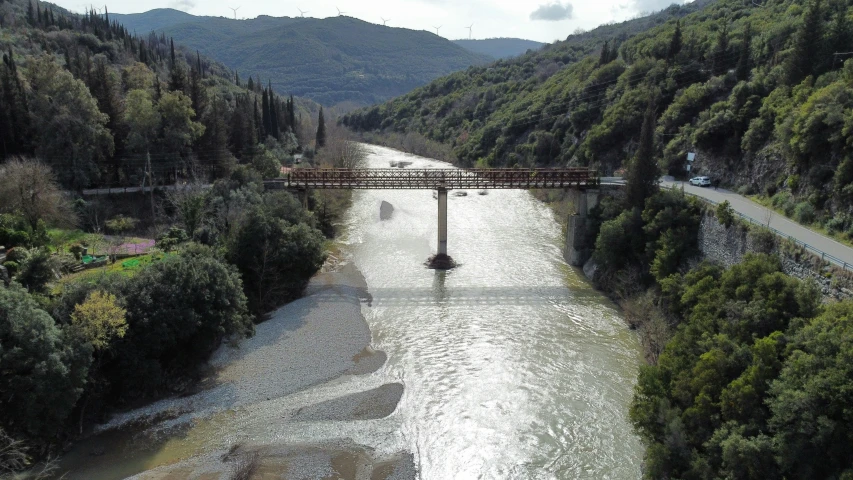 a bridge over water next to a forest