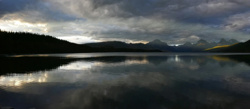 a large body of water surrounded by forest