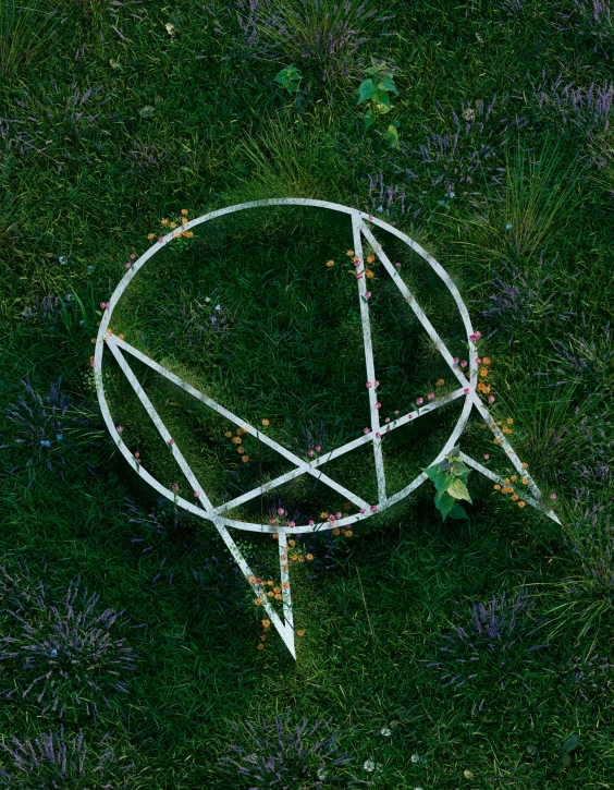 a circular object with various lines is shown in the grass