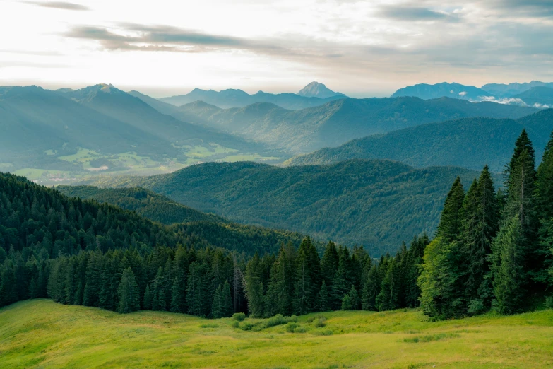 a very green mountain landscape that is beautiful