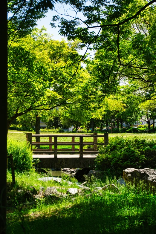 the bench is empty in the park on the other side of the path