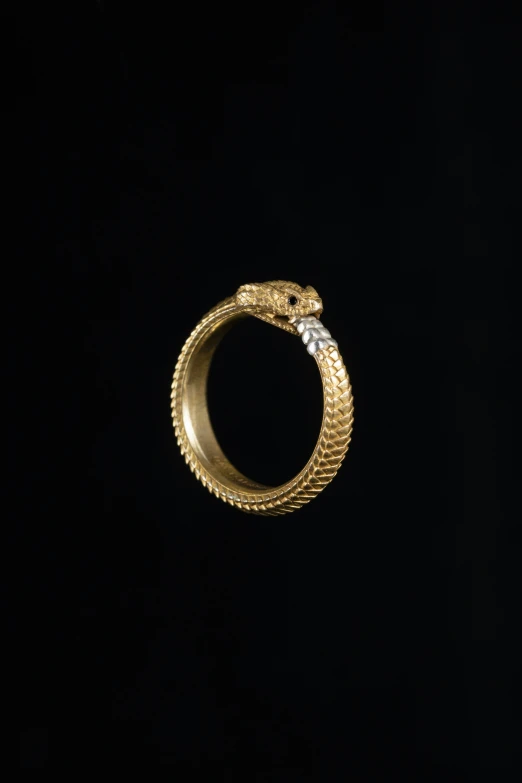 a gold ring with a snake head on top