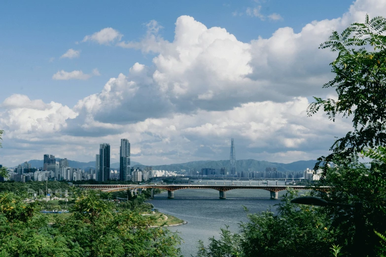 the city and bridge can be seen over the river