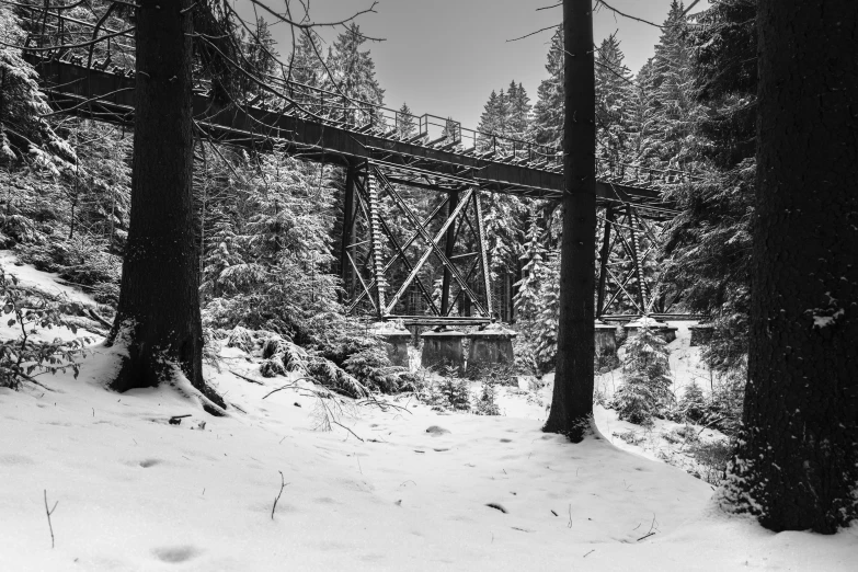 the train bridge is over water between some trees