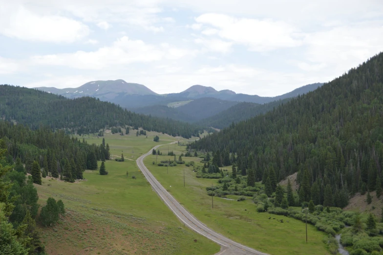 a road and highway winding through a forest