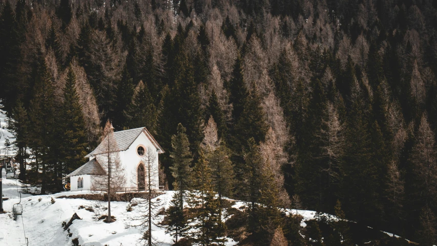 a church stands near a pine forest on a snowy day