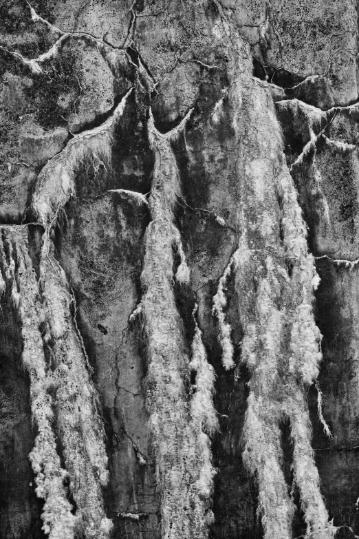 the side of a mountain that has trees exposed in it