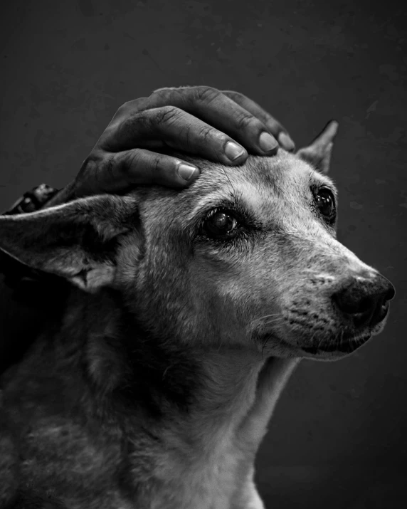 a black and white po of a dog with his eyes open