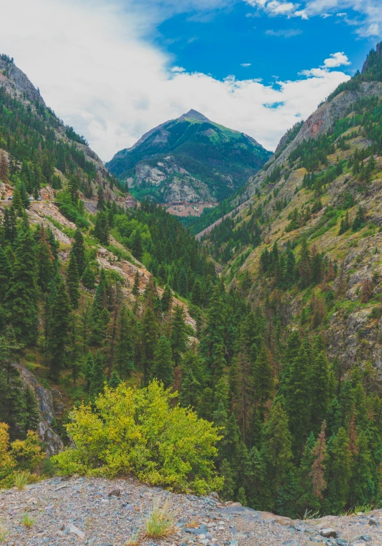 a rocky gorge surrounded by lush green trees