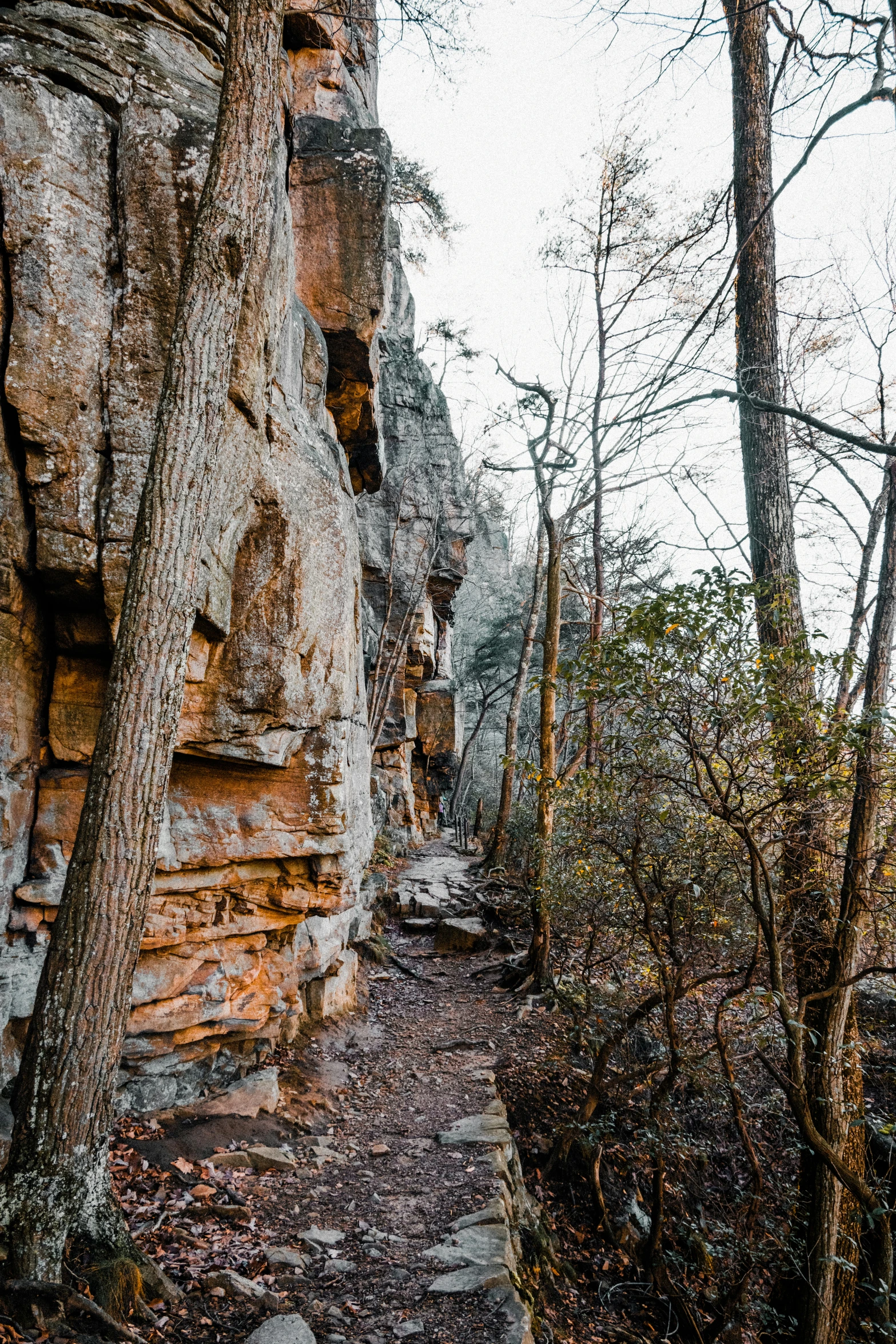 a very narrow path near the side of some rocks