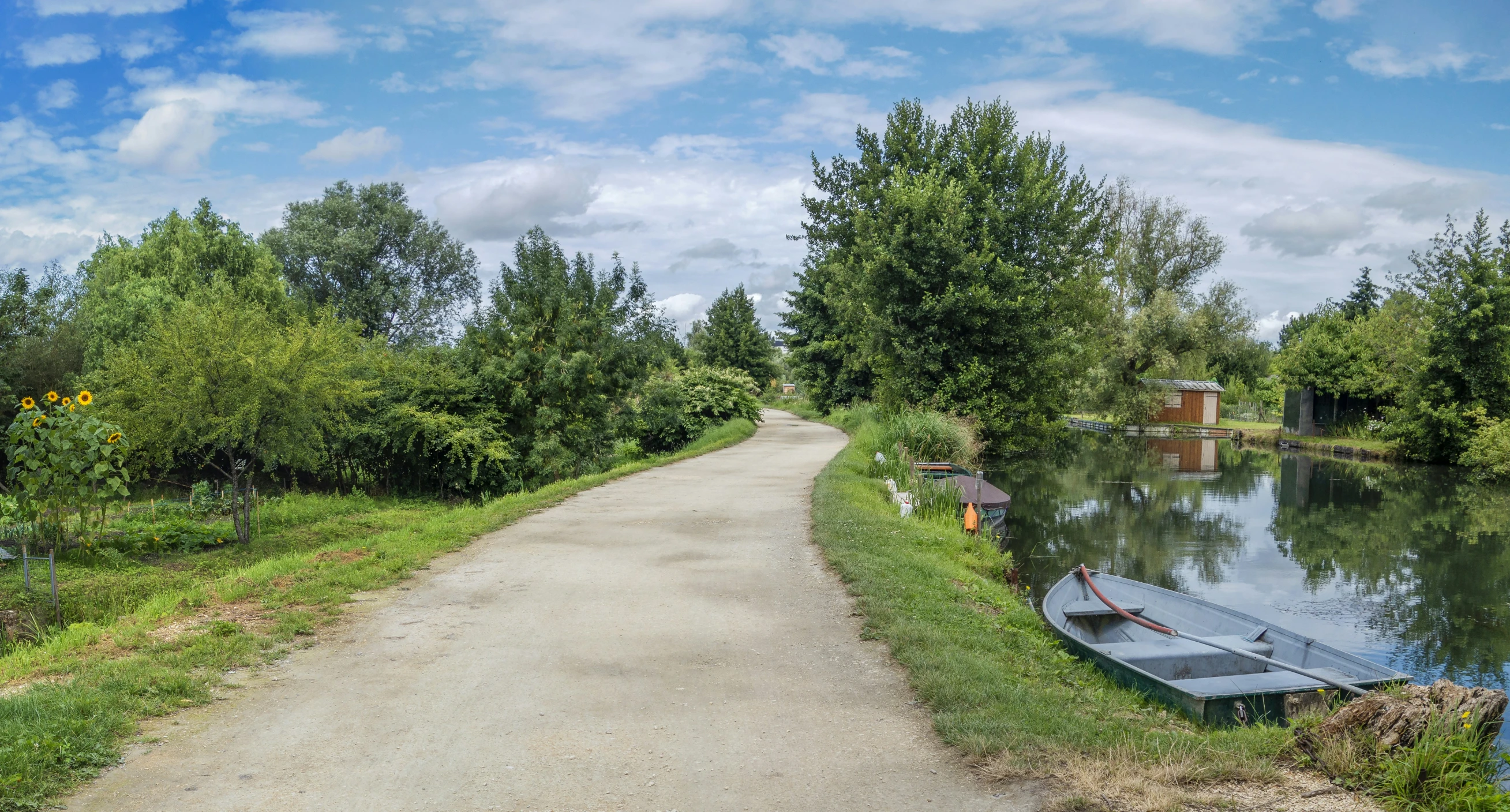 a small lake that is being surrounded by trees