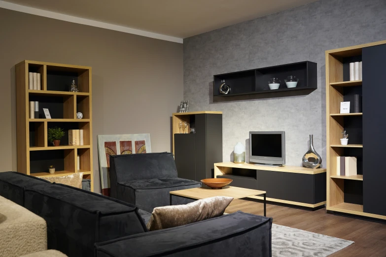 a modern, contemporary living room has dark colored furniture