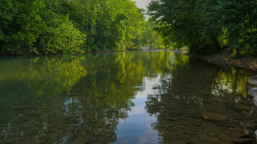 a view of a river surrounded by lush green trees