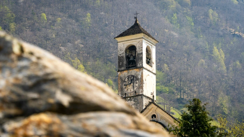 a small church bell tower in a forested area