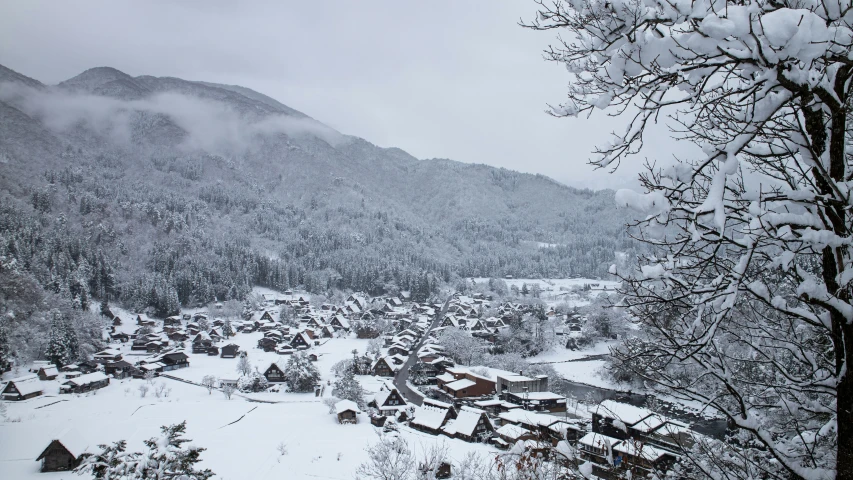 snowy mountains covered in trees and houses