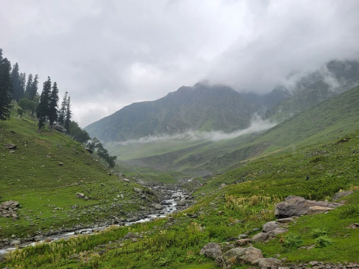 there is green and cloudy on the mountain side