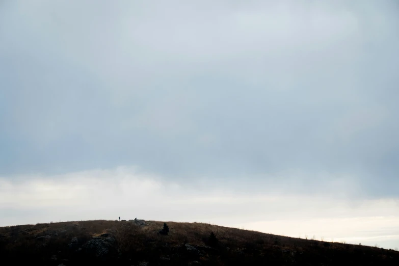 a lone white horse stands on a grassy hill