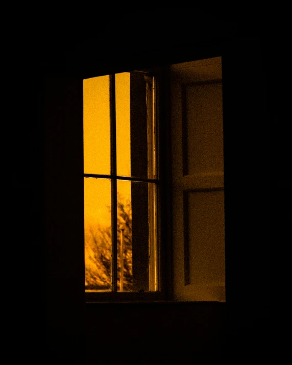 a tree is outside a window on a dark night