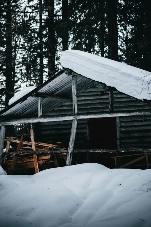 old log cabin surrounded by snow in a forest