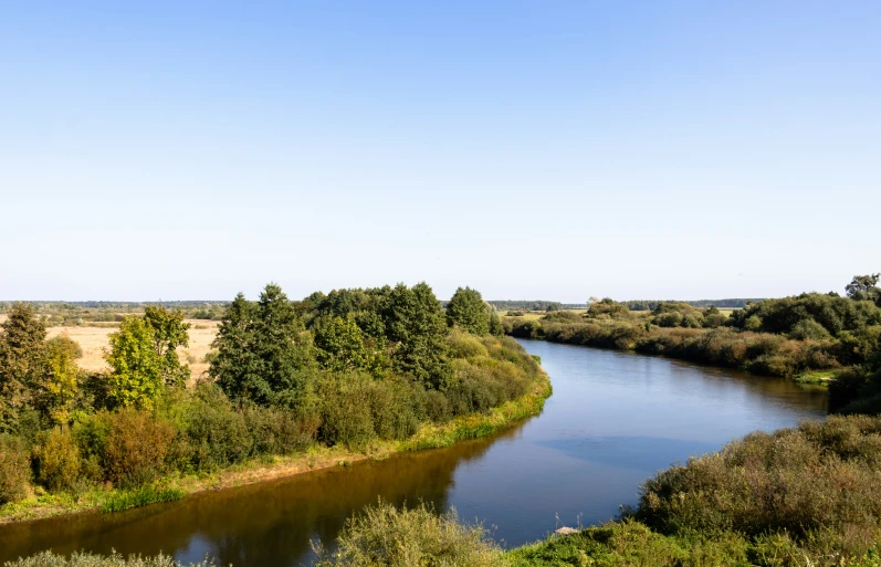 a river with a wide area of trees in the background