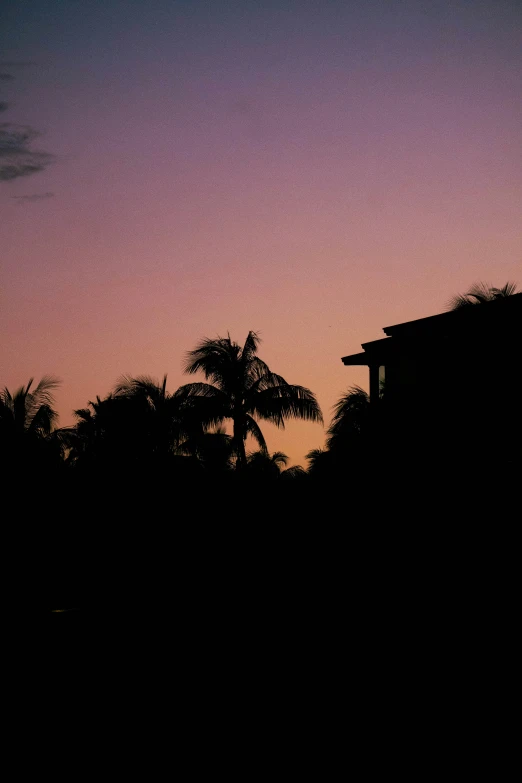 a silhouette of a person holding a skateboard