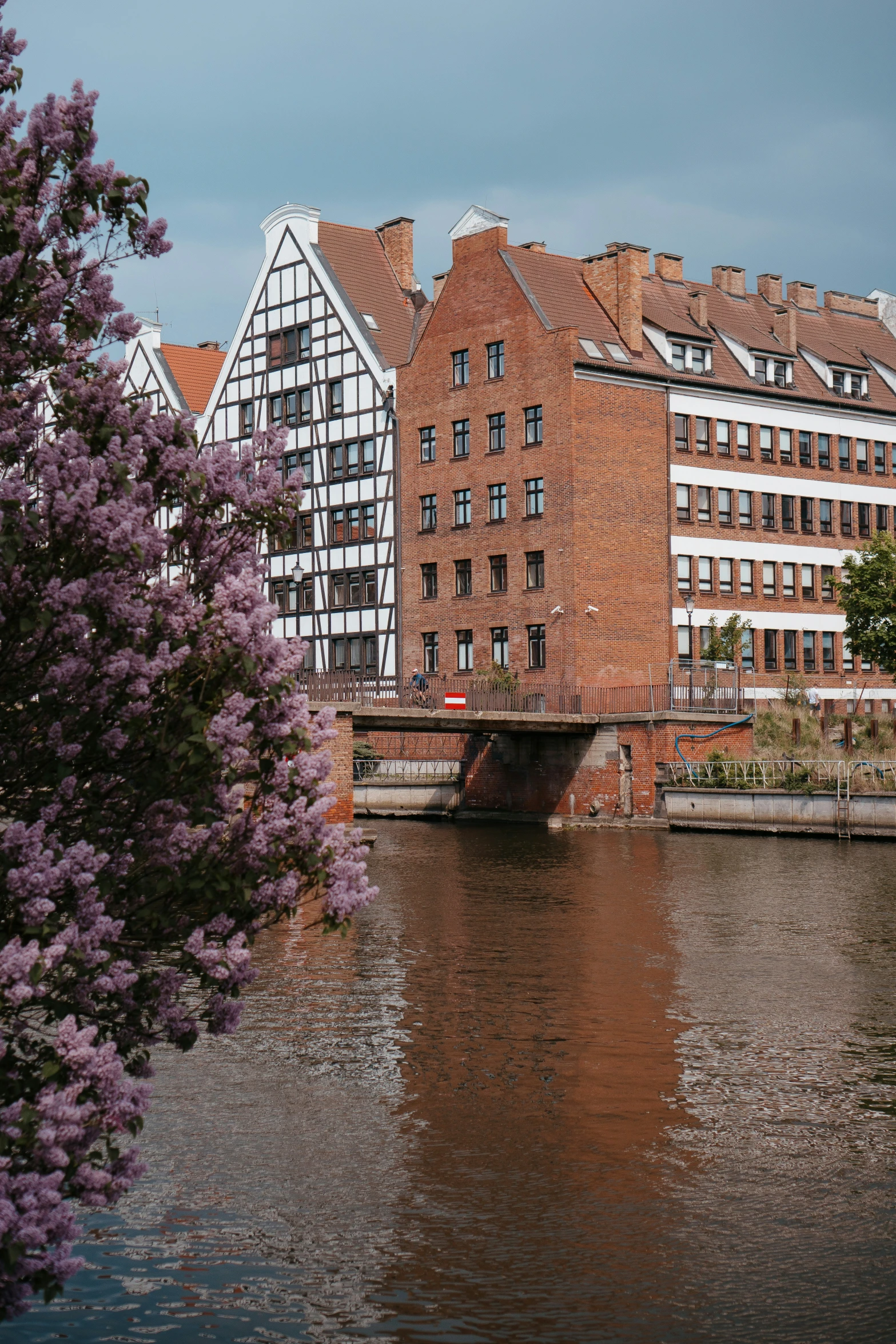 a bridge crosses the water in a small city