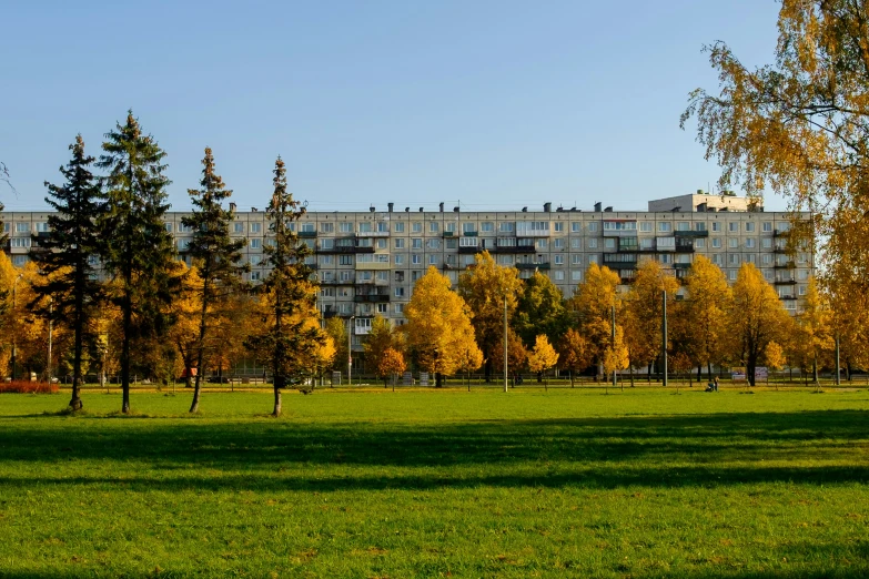 a park with a building and some trees