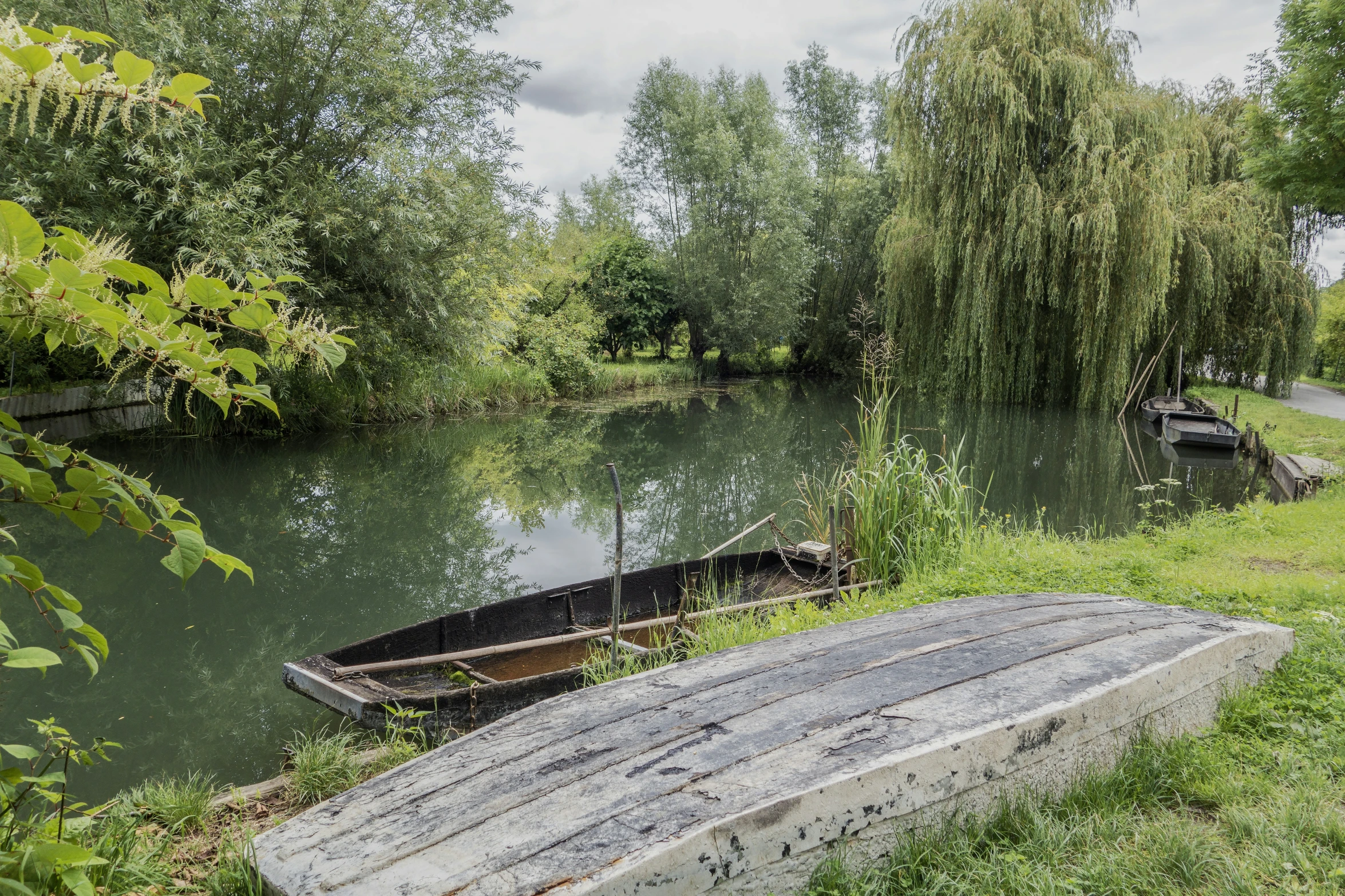 small boat sitting in the grass near a lake