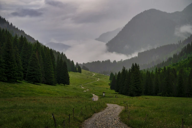 a person on a path near some mountains