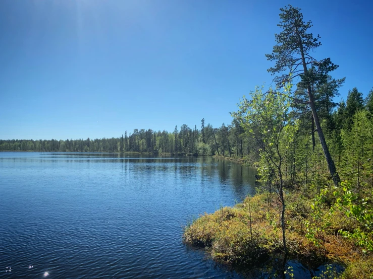 a lake surrounded by lush green trees on a clear day