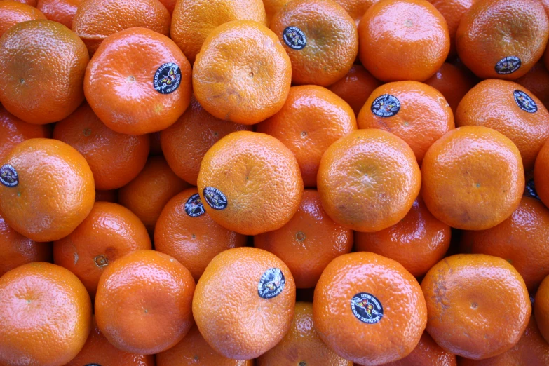 oranges piled on top of each other in rows
