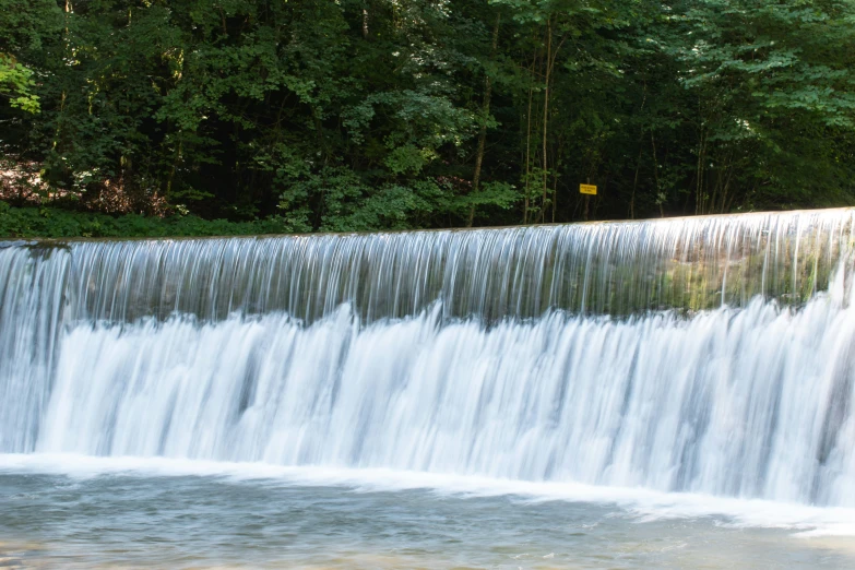 the dam is high in the woods for all to see