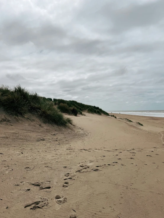 footprints on the sand with the ocean in the background