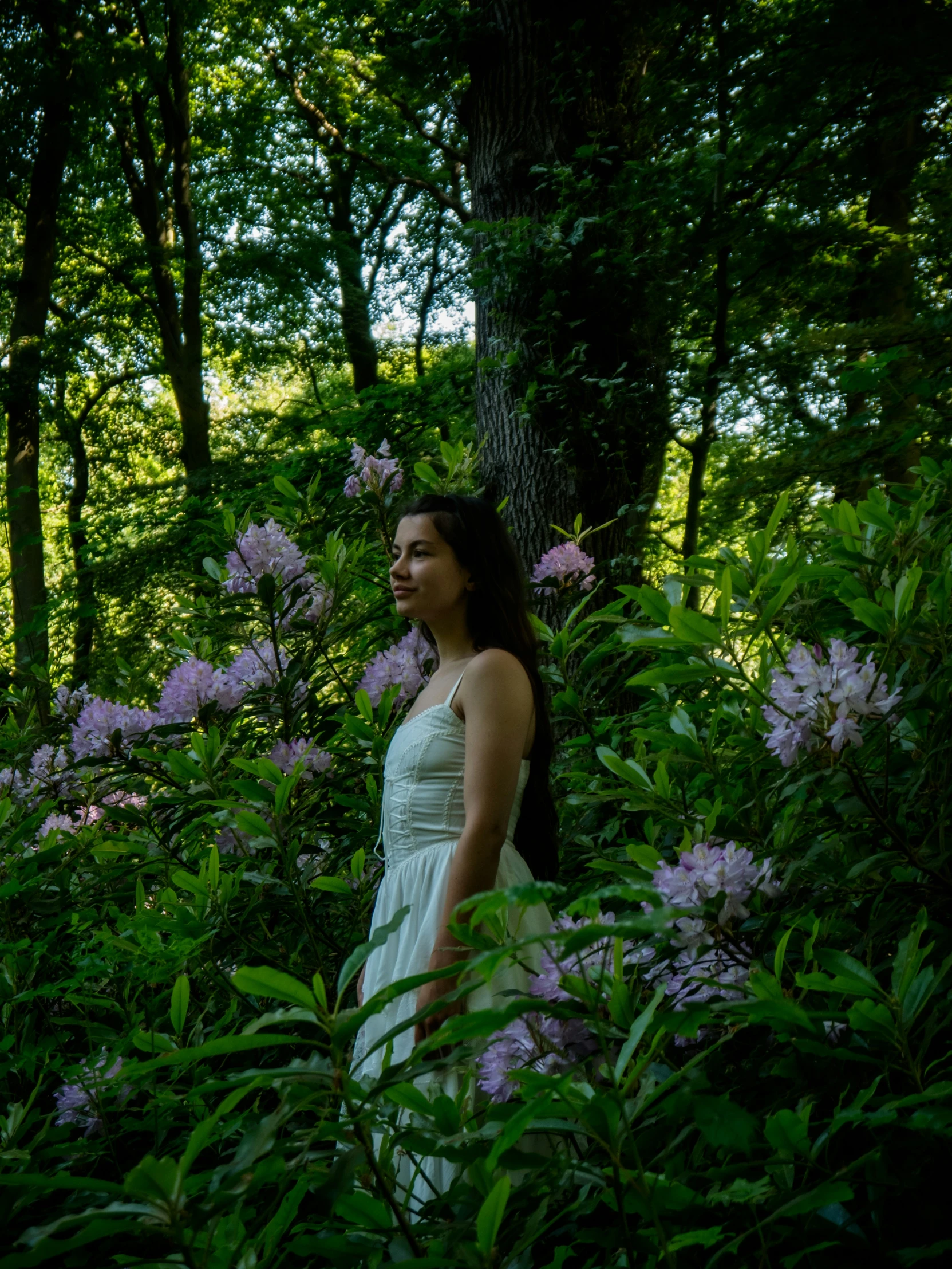 a young lady is looking up into the trees