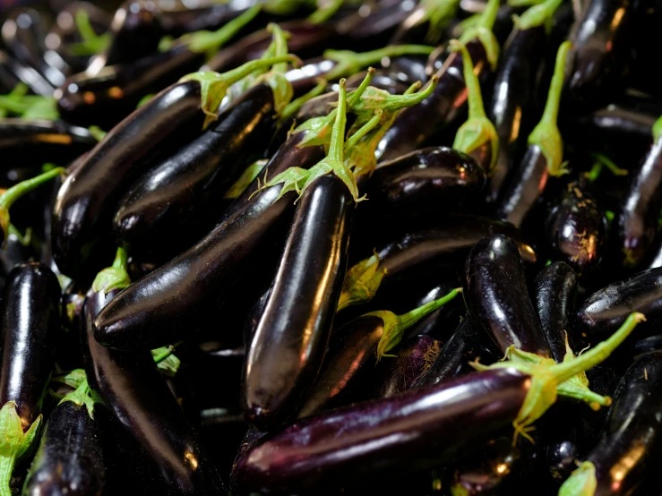 there is a pile of eggplant that have been placed together