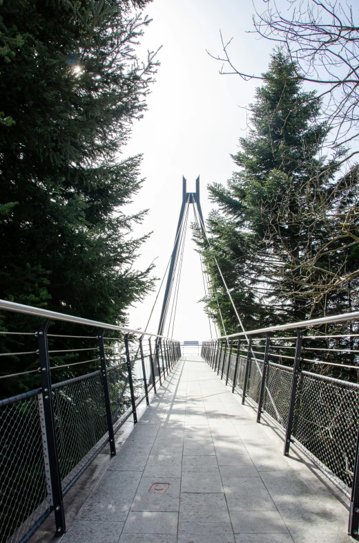 a walkway with a bridge over it leading to some trees