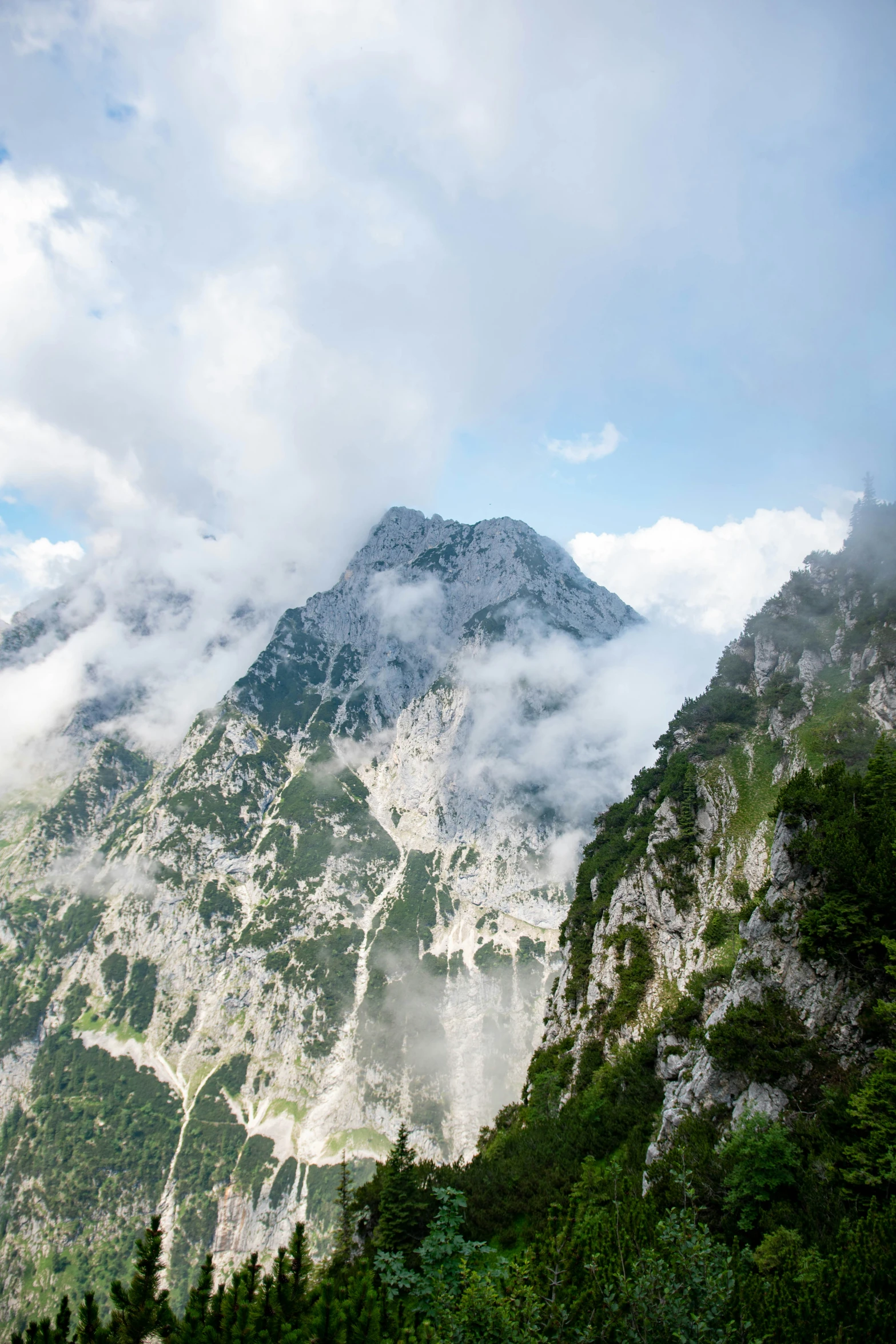 the mountains have a patch of fog in them