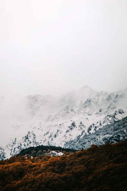 a lonely bench sitting in a snow covered area on top of a hill