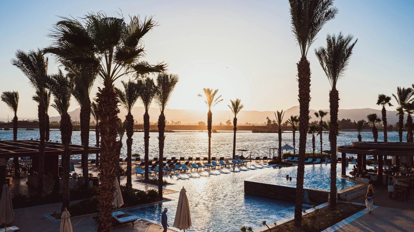 a palm tree lined beach next to an empty pool