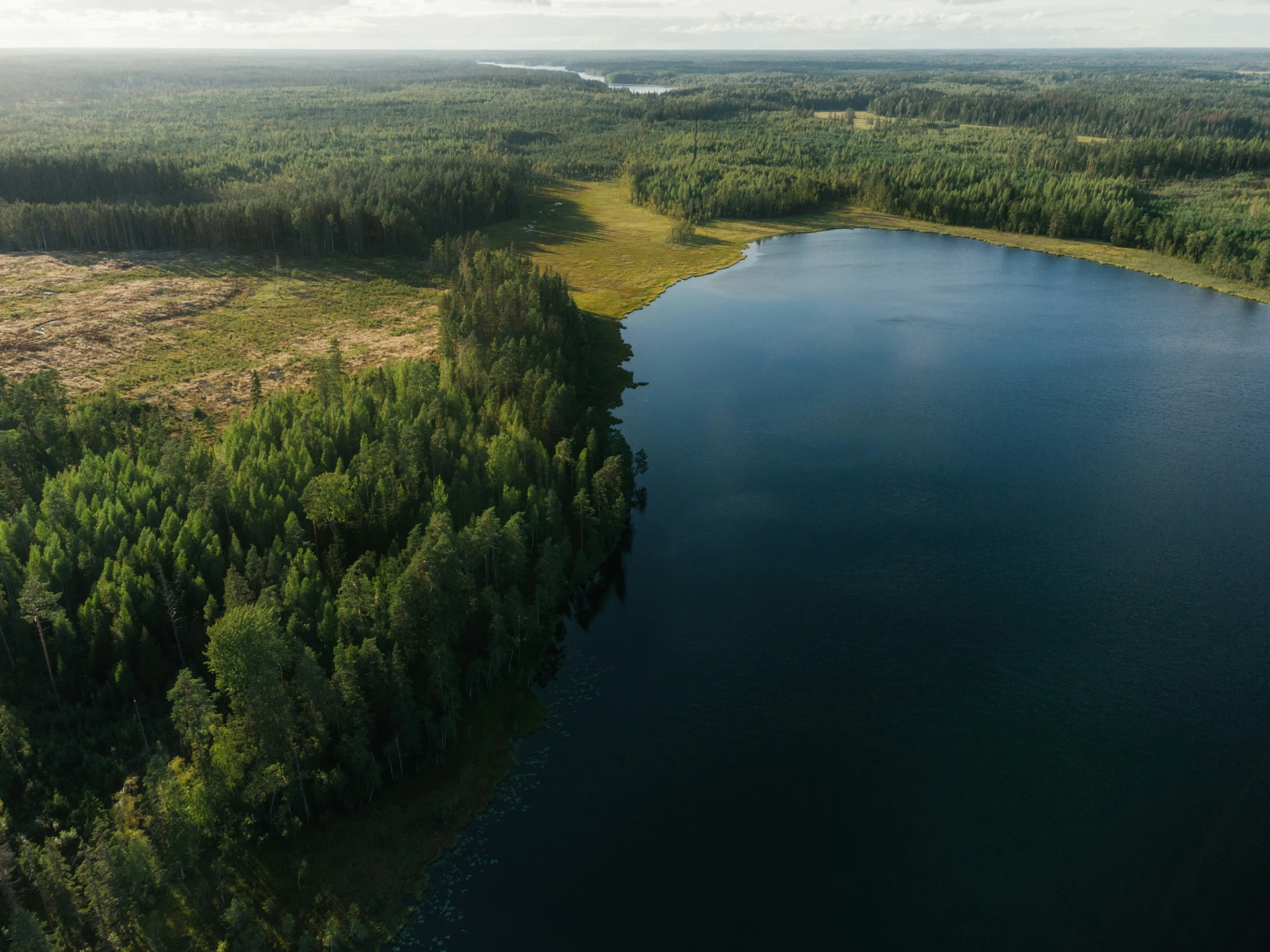 a very large body of water with some trees