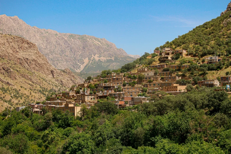 a village surrounded by mountains and trees in the day