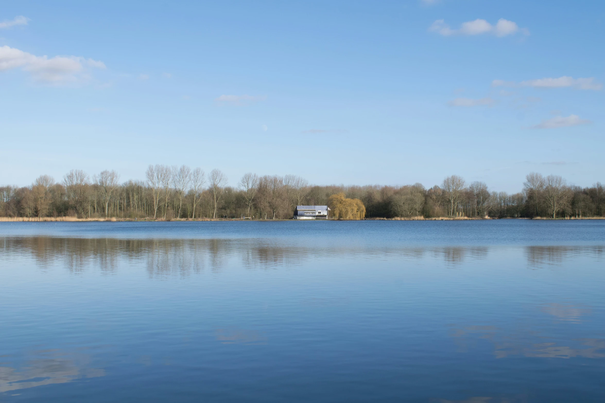 a lake is full of water and trees and a train is on the horizon