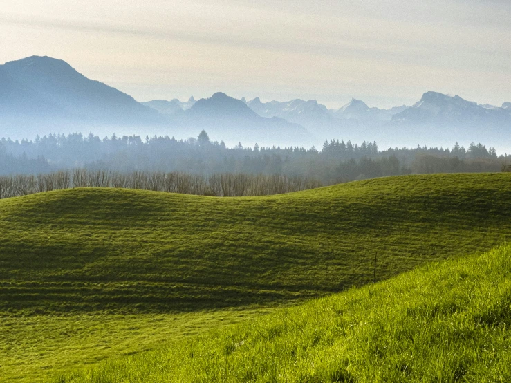 a field with some very green grass on top of it