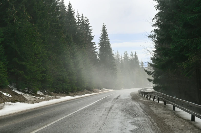 a road in a forested area with heavy fog and snow