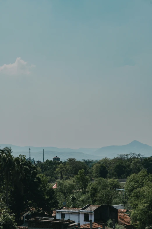 an image of a tree covered hill behind the trees