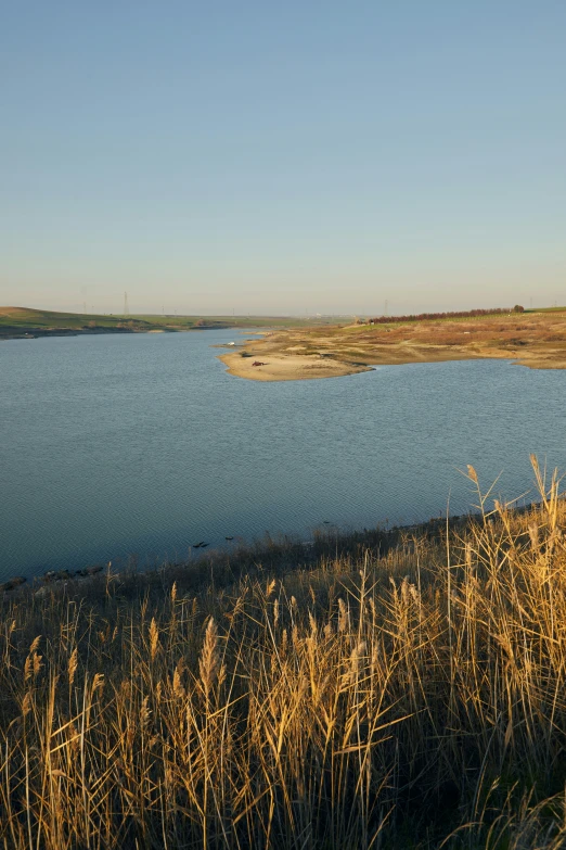 a bench sitting next to a body of water in dry grass