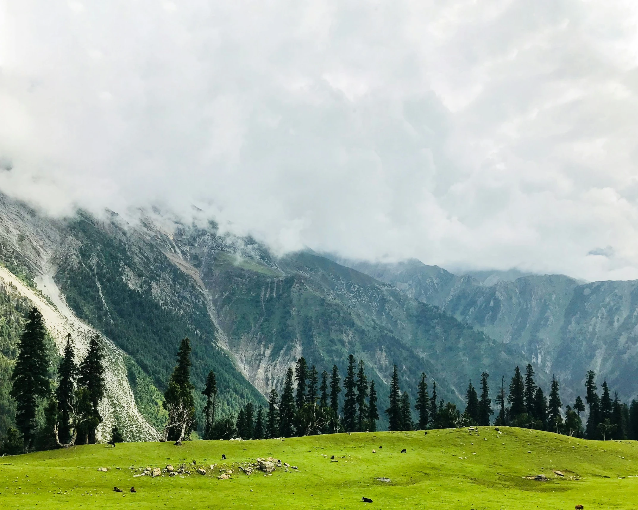 a mountain range that has some grass on the hill