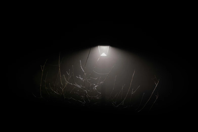 a street light glowing through a foggy dark sky