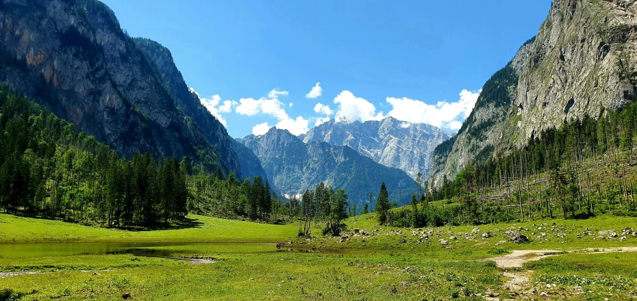 green field with mountains on the side of it